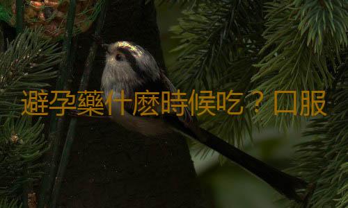 避孕藥什麽時候吃?口服避孕藥的六大注意事項