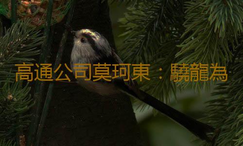 高通公司莫珂東:驍龍為全球玩家帶來激動人心的移動電競賽事體驗